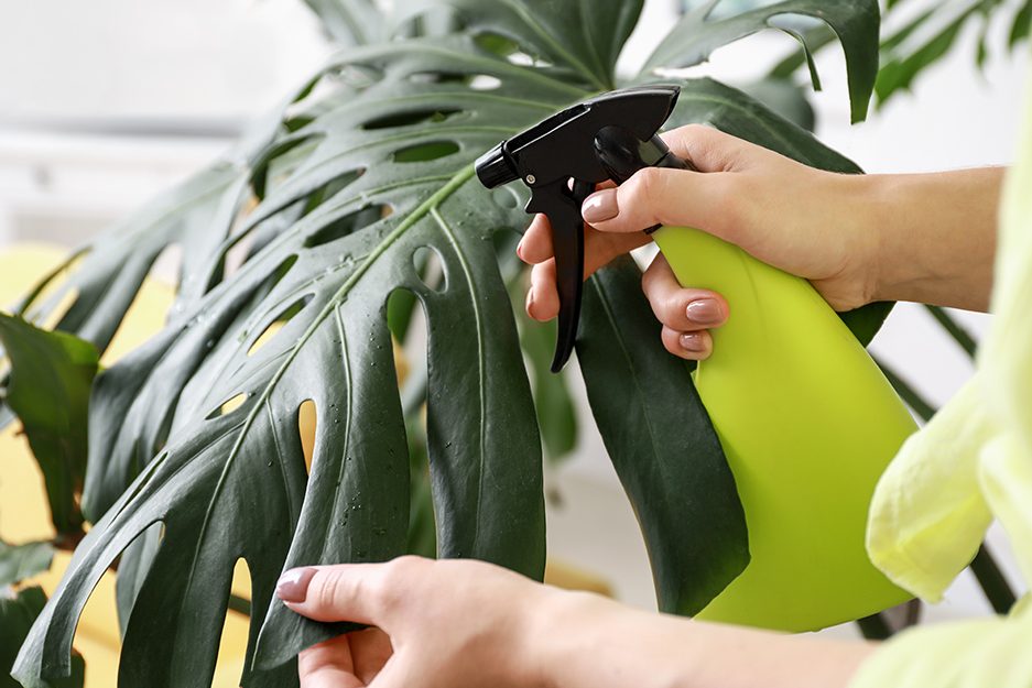 Bảo dưỡng cây cảnh giả và những lưu ý quan trọng