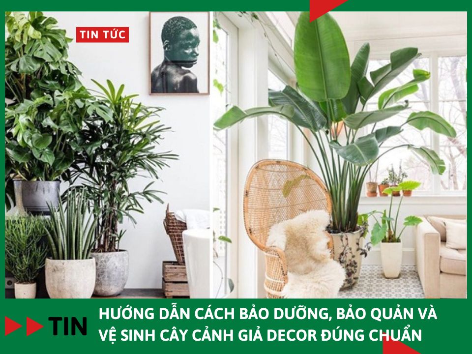 Hướng dẫn cách bảo dưỡng, bảo quản và vệ sinh cây cảnh giả decor đúng chuẩn