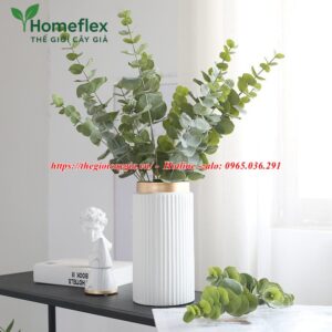 Cây bạch đàn giả