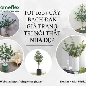 Top 100+ Cây bạch đàn giả trang trí nội thất nhà đẹp, giá rẻ