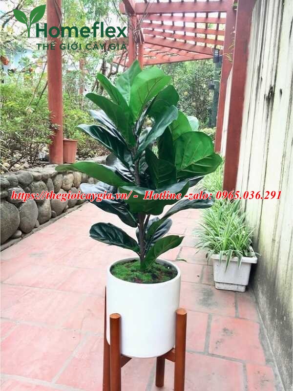Cây bàng giả decor trang trí nội thất đẹp 