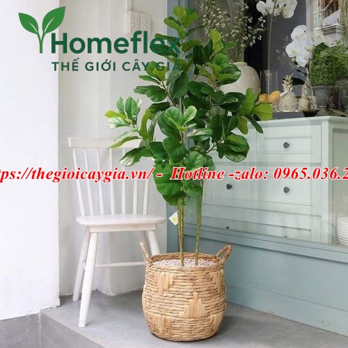 Cây bàng giả decor trang trí nội thất đẹp 