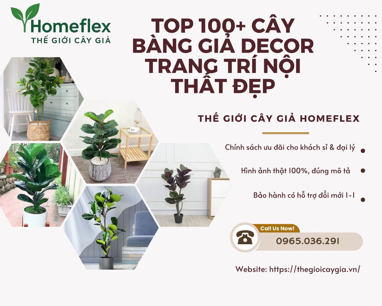 Top 100+ Cây bàng giả decor trang trí nội thất đẹp