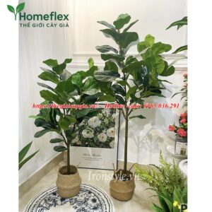 Cây bàng non giả