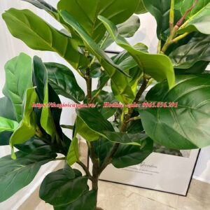 Cây bàng non giả