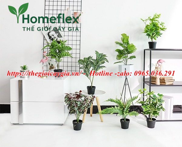 Cây giả để bàn
