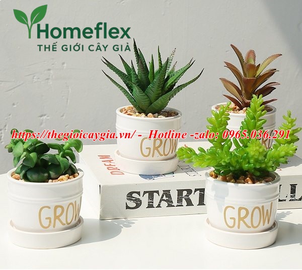 Cây giả để bàn