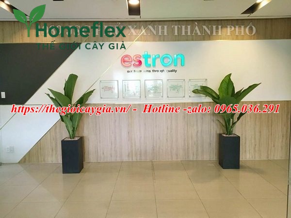 Cây giả decor trang trí văn phòng