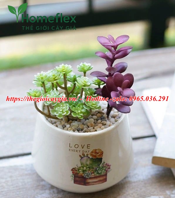 Chậu cây giả để bàn (cỡ nhỏ, mini) bàn làm việc, văn phòng
