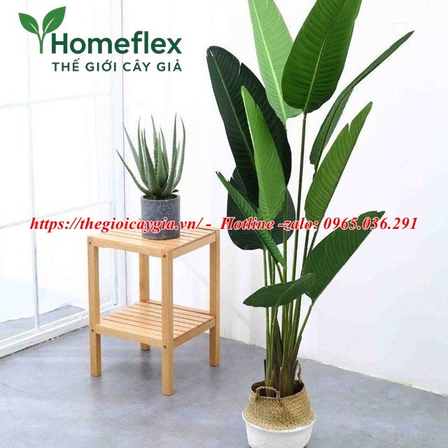 Cây chuối cảnh giả