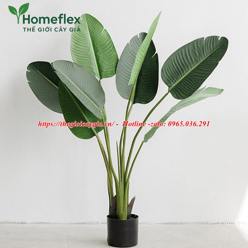Cây chuối cảnh giả