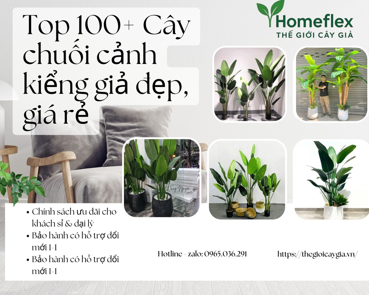 Top 100+ Cây chuối cảnh kiểng giả đẹp, giá rẻ