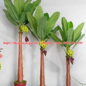 Cây Chuối Giả Có Buồng