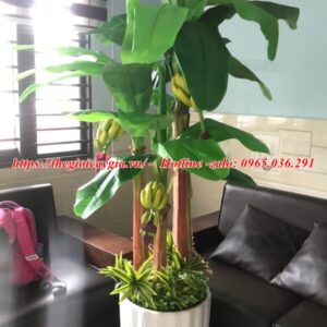 Cây Chuối Giả Có Buồng