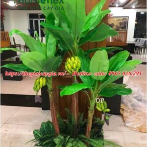 Cây Chuối Giả Có Buồng