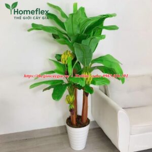 Cây Chuối Giả Có Buồng