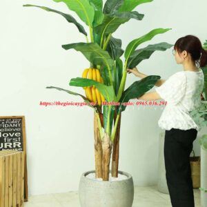 Cây Chuối Giả Có Buồng