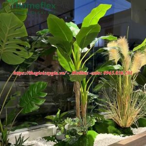 Cây chuối quê giả