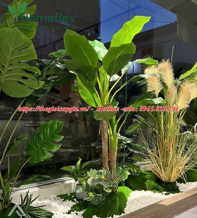 Cây chuối quê giả