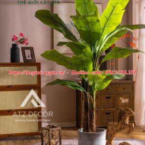 Cây chuối quê giả