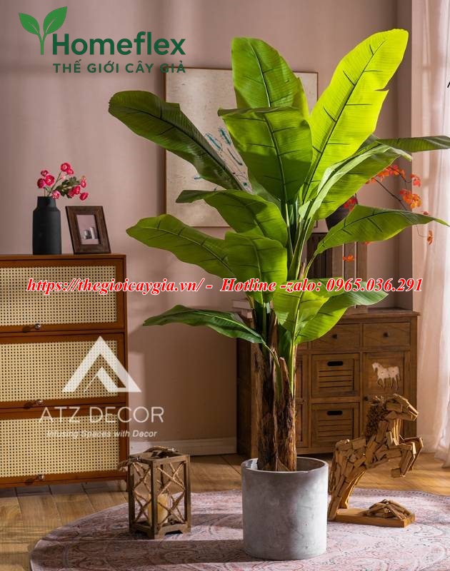 Cây chuối quê giả