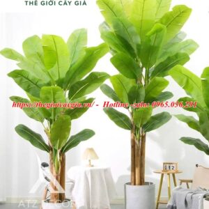 Cây chuối quê giả
