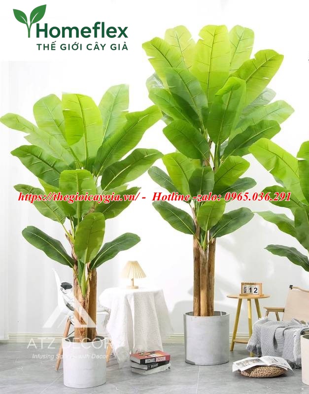 Cây chuối quê giả