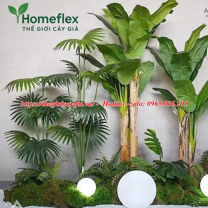 Cây chuối quê giả