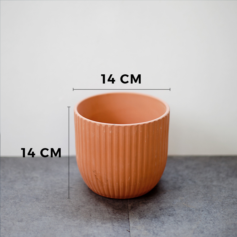 BC273 2 - Chậu đất nung sọc