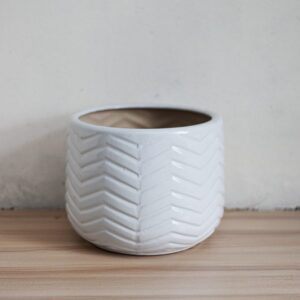 Châu men gốm sứ vân sọc chéo