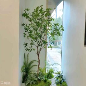 Tiểu Cảnh Rêu Cây - Tiểu Cảnh Cây Asebi Thiết Kế Cảnh Quan Xanh Tươi - RC097