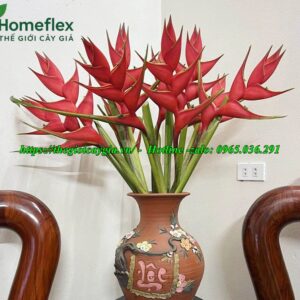 Cây chuối cảnh hoa đỏ