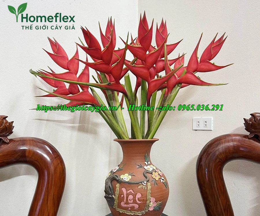 Cây chuối cảnh hoa đỏ