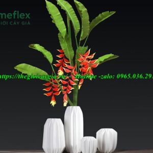 Cây chuối cảnh hoa đỏ