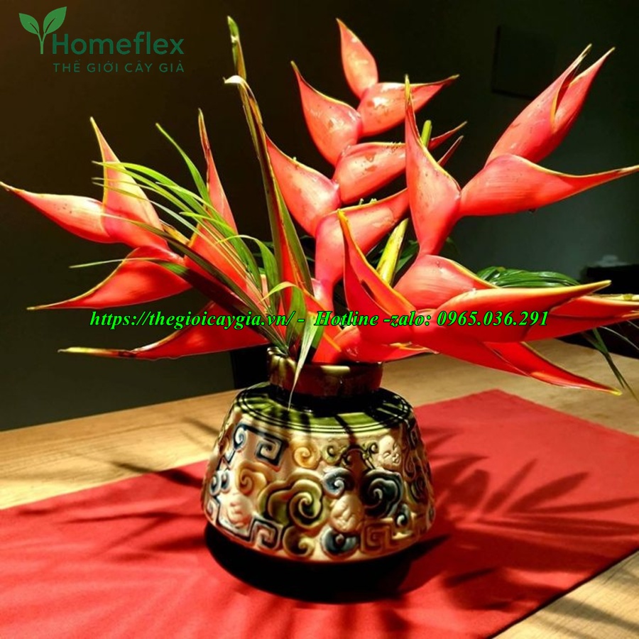 Cây chuối cảnh hoa đỏ