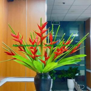 Cây chuối cảnh hoa đỏ