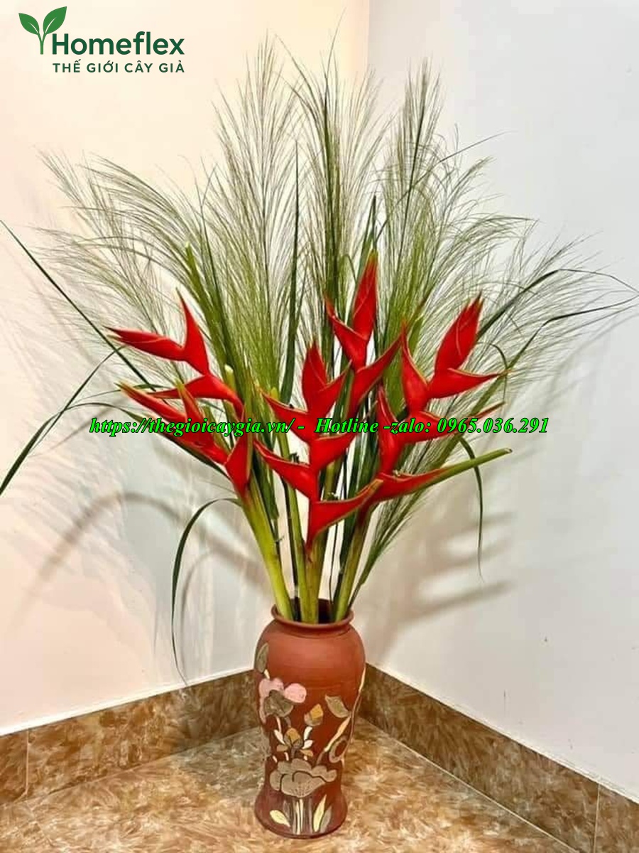 Cây chuối cảnh hoa đỏ