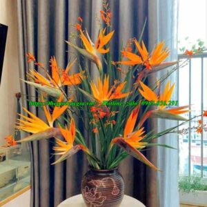 Cây chuối cảnh hoa đỏ