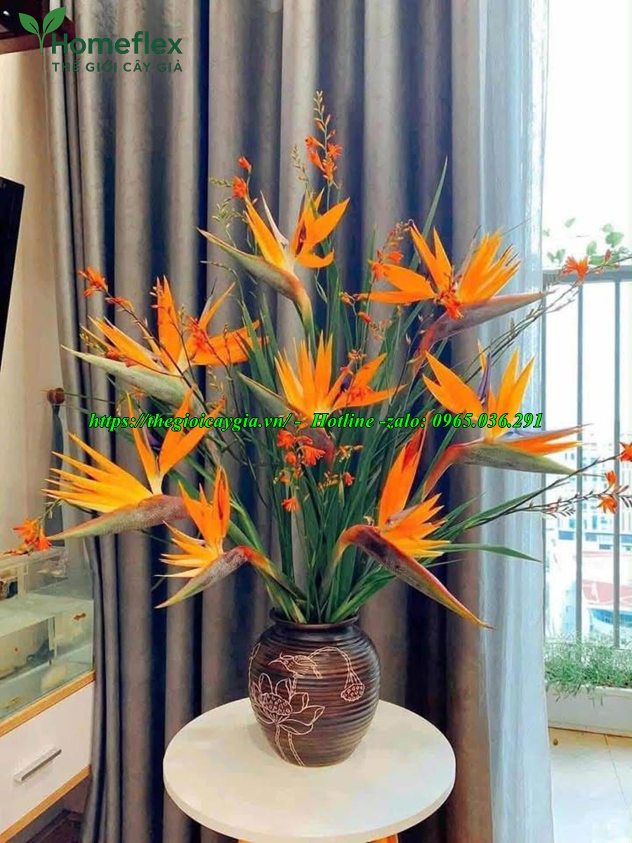 Cây chuối cảnh hoa đỏ