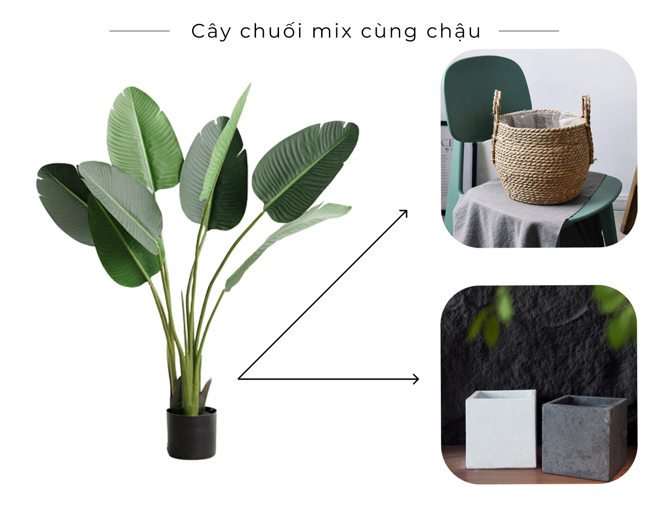 cay chuoi gia kem chau - Cây Chuối Giả 120cm cay chuoi gia kem chau - Cây Chuối Giả 120cm