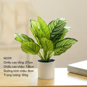 Chậu cây lá táo giả để bàn