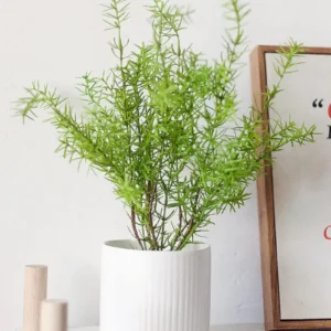 Chậu cây hương thảo giả