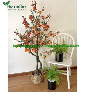 cây lựu giả