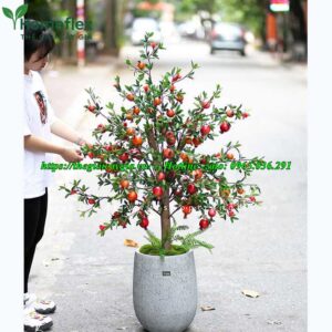 cây lựu giả