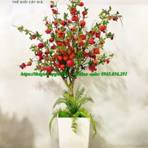 cây lựu giả