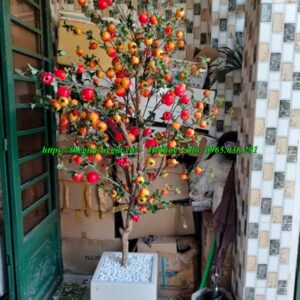 cây lựu giả