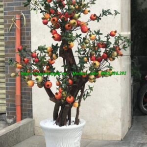 cây lựu giả