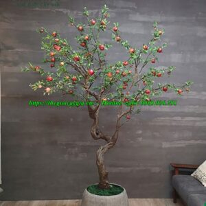 cây lựu giả