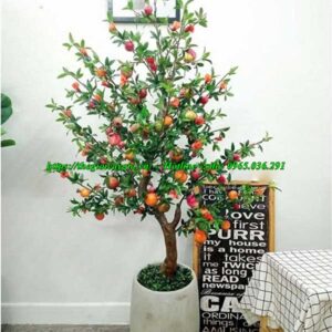 cây lựu giả