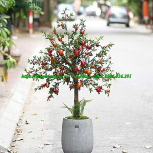 cây lựu giả